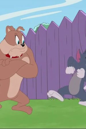 The Tom And Jerry Show (Phần 3)